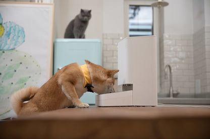 Xiaomi Smart Pet Food Feeder